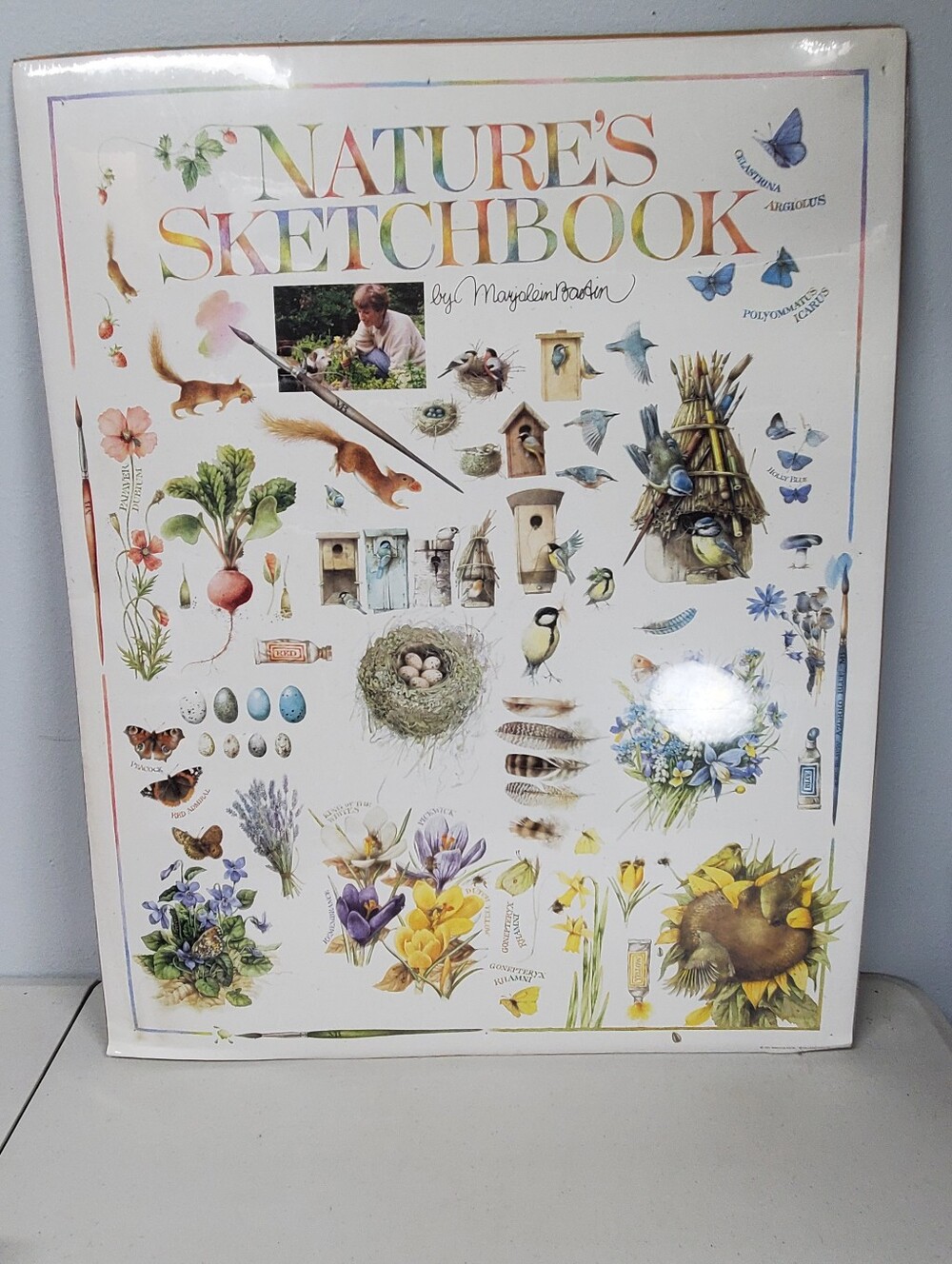 Natures Sketchbook Marjolein Bastin 1994 24x30 Sealed Artwork Wall Decor Cottage